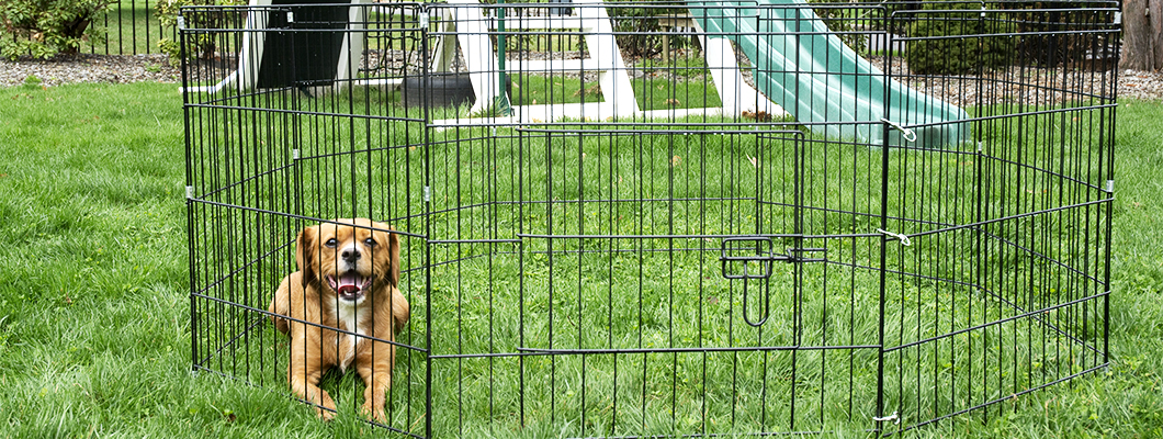 pet playpen