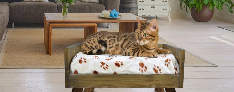 Sassy paws pet bed