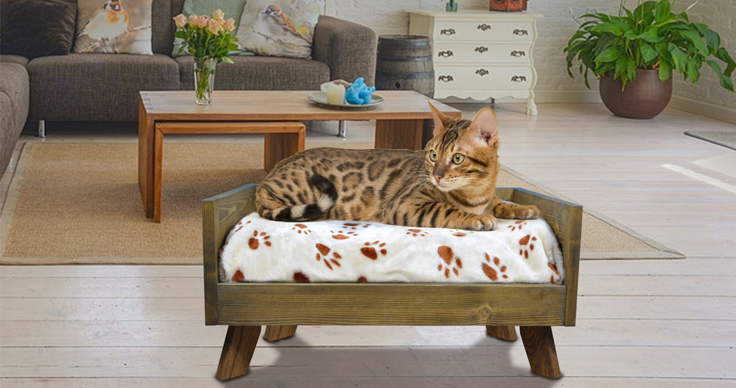 Sassy paws pet bed